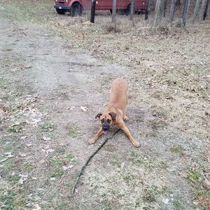 Meet your Posher, Stephen